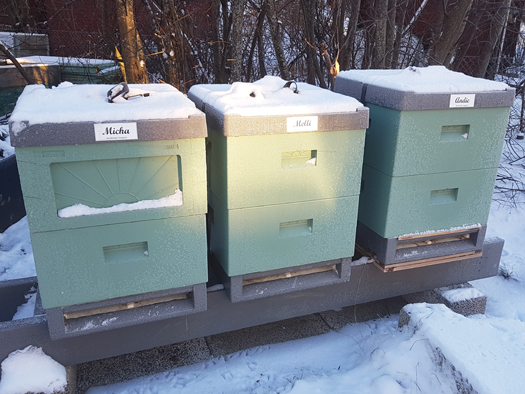 Bild p� n�gra av v�ra bikupor